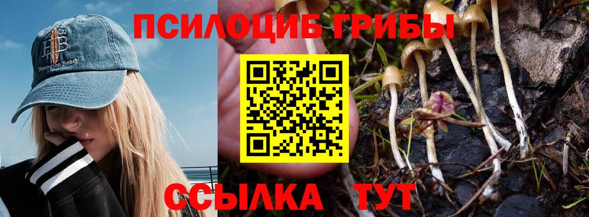 Псилоцибиновые грибы мицелий  Вход с VPN  Псилоцибиновые грибы ЛСД  Отрадное 